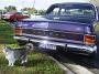Holden-Show-Shine-Cundletown 023